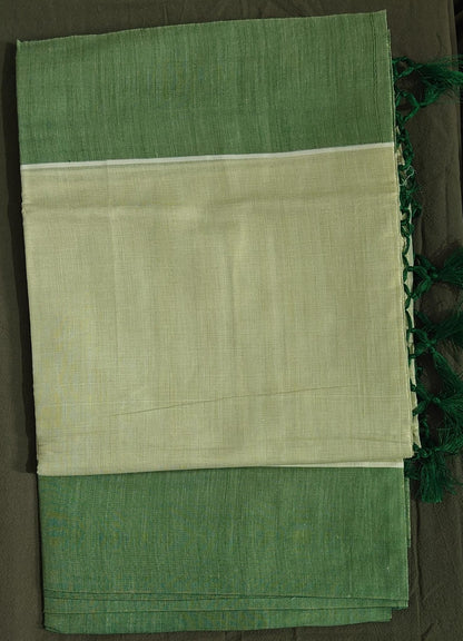 Green and beige saree with a plain background