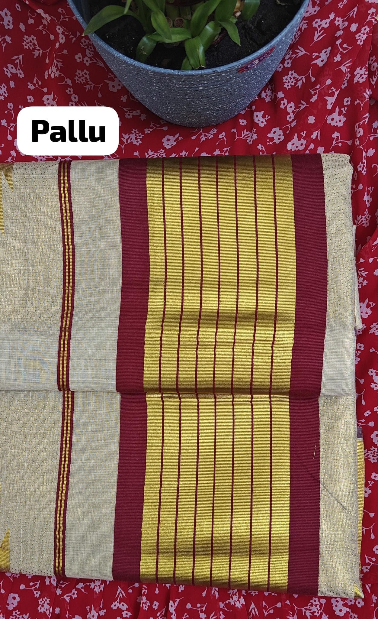 Golden temple design  plain body colour heavy Saree